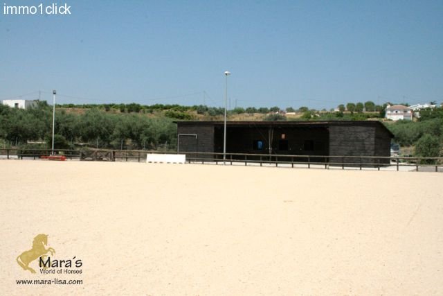 Villa mit Pferdestall in Andalusien zu verkaufen, Costa del Sol, Alhaurin el Grande