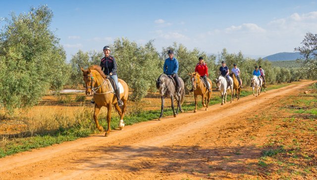 Andalusien, Antequera, Cortijo mit Gästezimmern und Reitstall zu verkaufen