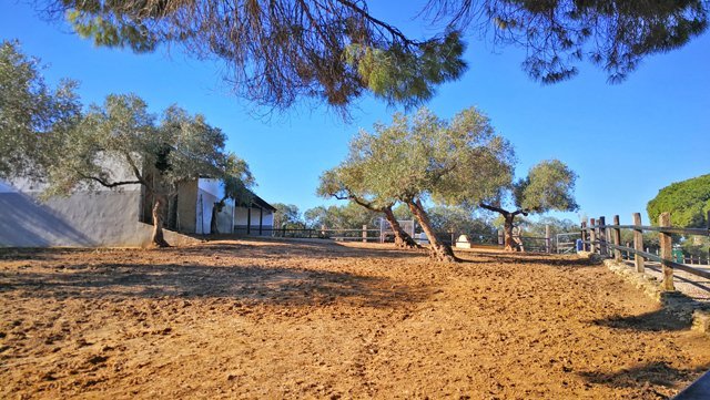 Andalusien, Arcos, Finca für Pferdeliebhaber zu verkaufen