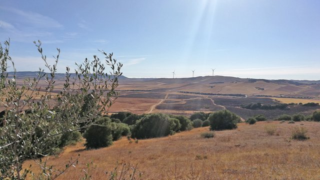 Andalusien, Vejer de la Frontera - Finca zum renovieren zu verkaufen