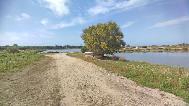 2315 andalusien, chiclana de la frontera, grundstück zum bau eines restaurants zu verkaufen