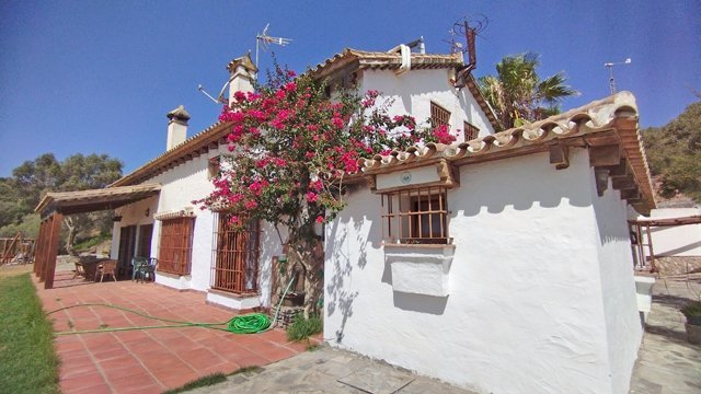 2341 Andalusien, Alcala de los Gazules, Finca mit Pferdestall zu verkaufen