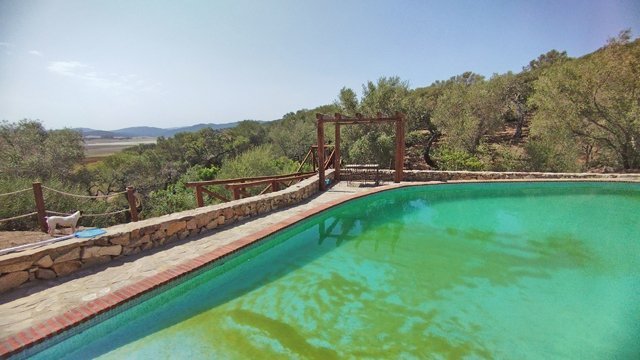 2341 Andalusien, Alcala de los Gazules, Finca mit Pferdestall zu verkaufen