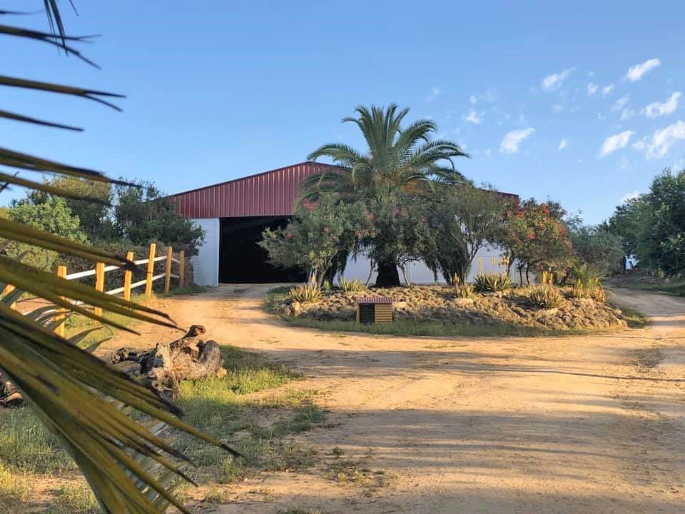 2409ER Andalusien, Alcala de Guadaira - Finca mit Pferdestall und Reithalle zu verkaufen