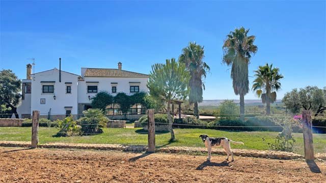 2355 Andalusien, provinz huelva, sevilla, finca, see, pferdezucht, rinderzucht, zu verkaufen