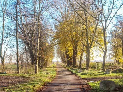 2459 Niedersachsen, Wurster Nordseeküste, Gutshof, Reitimmobilie, Reiterhof, zu verkaufen