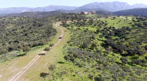 2503LM andalusien, provinz jaen, andujar, jagdfinca zu verkaufen