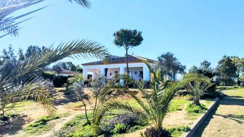 2420 andalusien, provinz huelva, la palma del condado, finca mit 2 häusern zu verkaufen