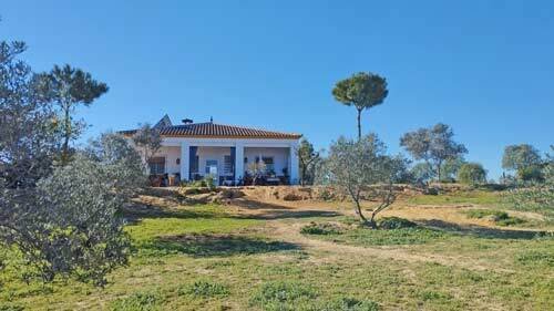 2420 andalusien, provinz huelva, la palma del condado, finca mit 2 häusern zu verkaufen