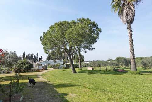 2511MW andalusien, costa de la luz, conil de la frontera, landhotel, finca, zu verkaufen