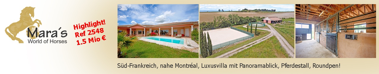 Maras World Solutions S.L. Maras World Solutions S.L.