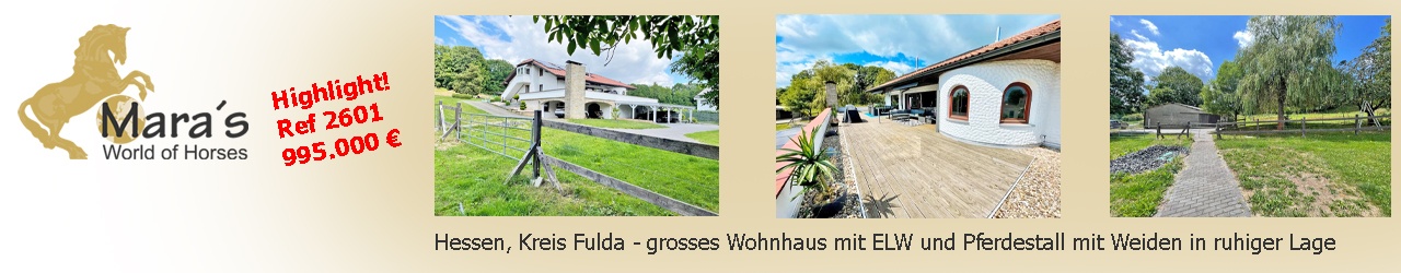 Maras World Solutions S.L. Maras World Solutions S.L.